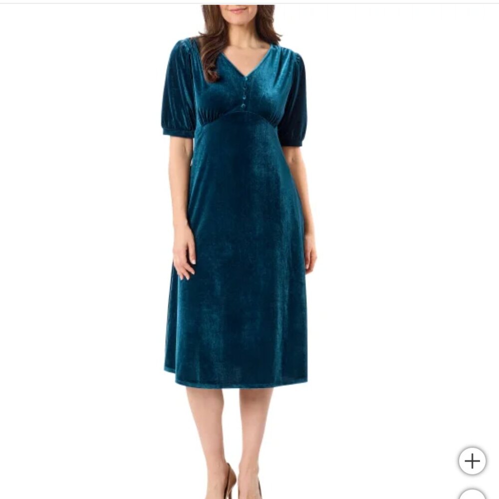NWT Briggs Ladies' Velvet Dress -- XL